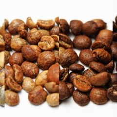 Andrito Coffee Roastery