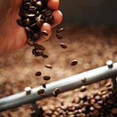Andrito Coffee Roastery