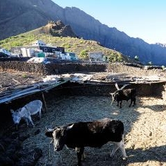Cape Verde - Fogo vulkāns — PAS-0143