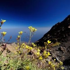 Cape Verde - Fogo vulkāns — PAS-0164