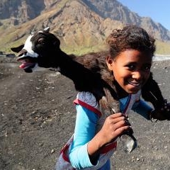 Cape Verde - Fogo volcano — PAS-0135