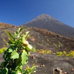 Cape Verde - Fogo volcano — PAS-0165
