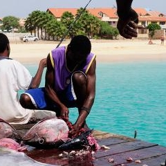 Cape Verde - dzīve pie okeāna — PAS-0199