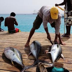 Cape Verde - dzīve pie okeāna — PAS-0219
