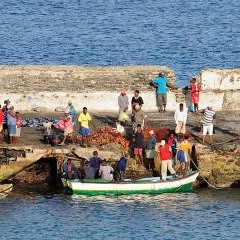 Cape Verde - dzīve pie okeāna — PAS-0200