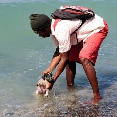 Cape Verde - dzīve pie okeāna — PAS-0216