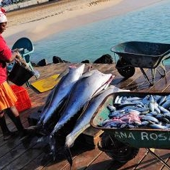 Cape Verde - dzīve pie okeāna — PAS-0232
