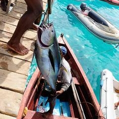 Cape Verde - life by the ocean — PAS-0193