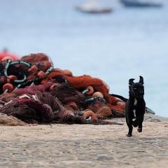 Cape Verde - life by the ocean — PAS-0229