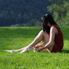 Everybody is Free — FOT-0244