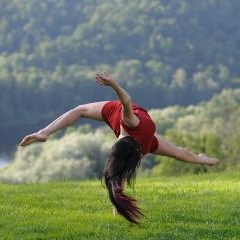 Everybody is Free