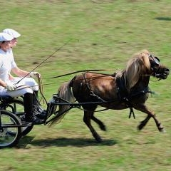 FEI World Cup — SPO-0198