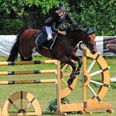 FEI World Cup — SPO-0201