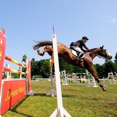 FEI World Cup — SPO-0199
