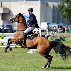 FEI World Cup — SPO-0209