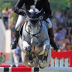 FEI World Cup — SPO-0200