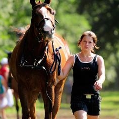 FEI World Cup