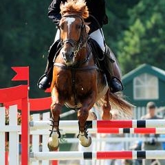 FEI World Cup — SPO-0183
