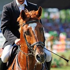 FEI World Cup — SPO-0182