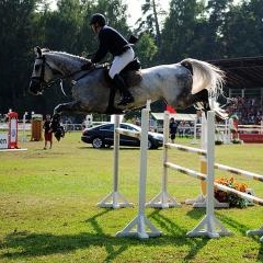 FEI World Cup — SPO-0188