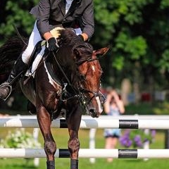 FEI World Cup — SPO-0177