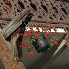 France - Morzine — CEL-0135