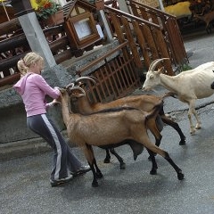 France - Morzine — CEL-0131