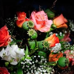 Gatis and Daniella — KAZ-0149