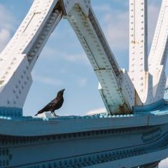 London 2023 — PAS-0562