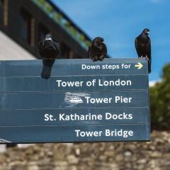 London 2023 — PAS-0566