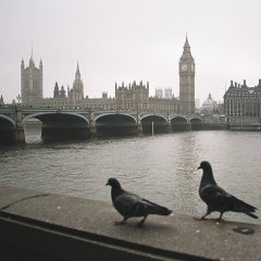 Londona — CEL-0070