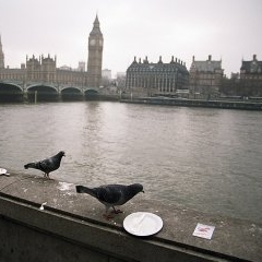 Londona — CEL-0049