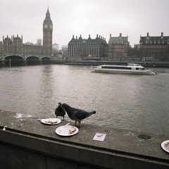 London — CEL-0069