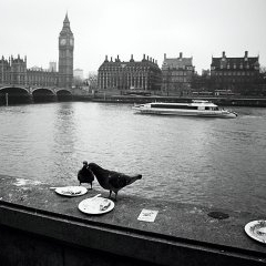 Londona 2 — CEL-0094