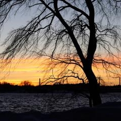 First sun — DAB-0023