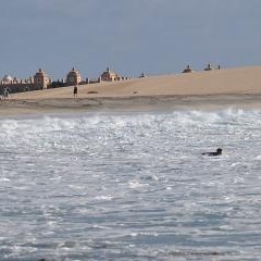 Robertney Barros surfing Ponta Preta — SPO-0171