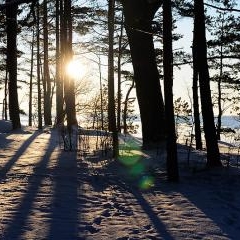 The sea at Skulte in winter — DAB-0007