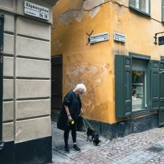 Stockholm 2024 — PAS-0443