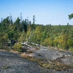Stockholm 2024 — PAS-0423