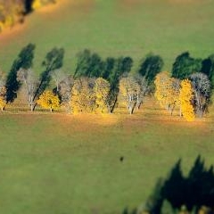 mini Sigulda — AER-0061